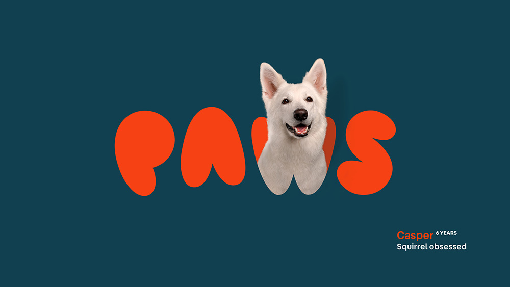 Paws應(yīng)用003